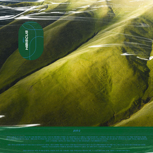 中国狗操美女视频
