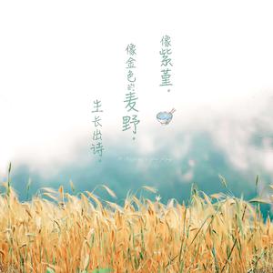 中国狗操美女视频
