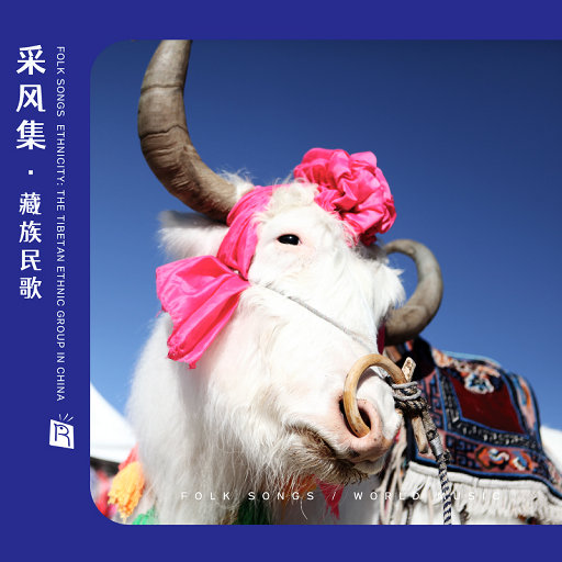 中国狗操美女视频
